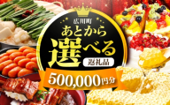 【あとから選べる】広川町 ふるさとギフト 50万円分 [AFZZ010]