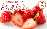 宇都宮の恋いちご「とちあいか」 2パック ―甘くて可愛い、愛されいちご― | 苺 イチゴ 果物 フルーツ 栃木県 宇都宮市 ※2025年12月中旬～2026年3月下旬頃に順次発送予定