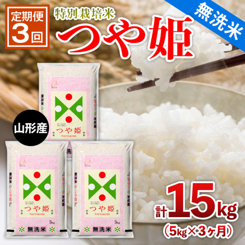 【定期便3回】山形産 特別栽培米 【無洗米】 つや姫 5kg×3ヶ月(計15kg) FZ26-894 2454242 - 山形県山形市