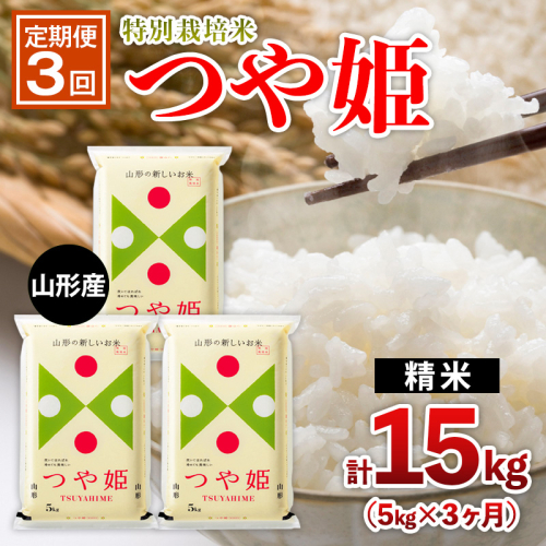 【定期便3回】山形産 特別栽培米 つや姫 5kg×3ヶ月(計15kg) FZ26-895 2454244 - 山形県山形市