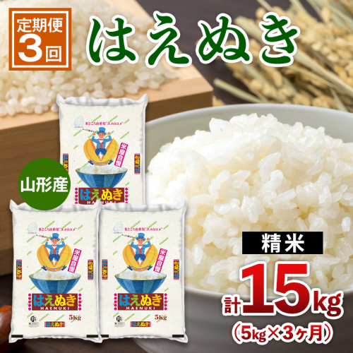 【定期便3回】山形産 はえぬき 5kg×3ヶ月(計15kg) FY25-440 2454245 - 山形県山形市