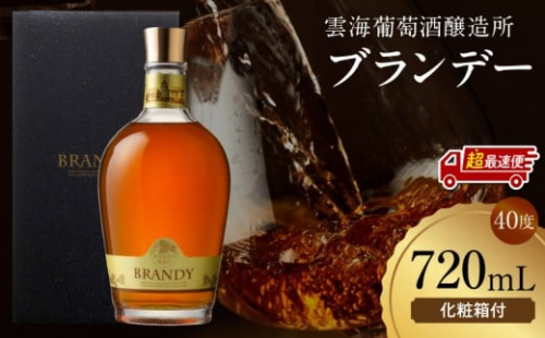 【超最速便】雲海葡萄酒醸造所 ブランデー 720ml_M375-005-02-1W 2454313 - 宮崎県宮崎市