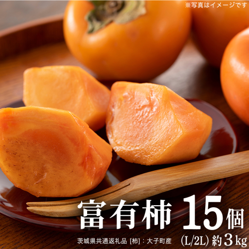 富有柿 15個 約3kg（L、2L）【11月より発送開始】（茨城県共通返礼品 [柿]：大子町産） | 柿 かき [FC23-NT] 2454325 - 茨城県つくばみらい市