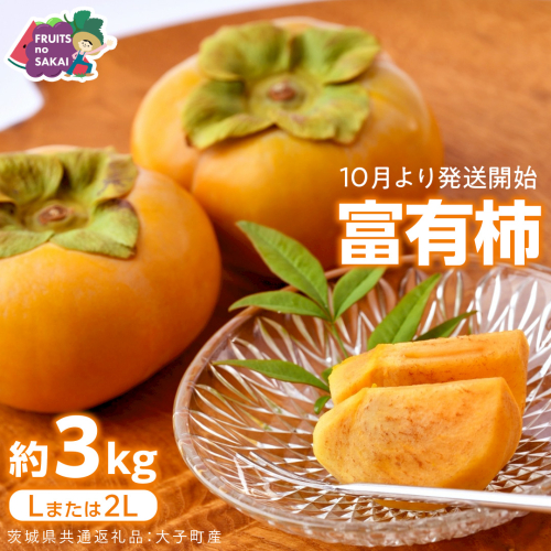 富有柿 Lまたは2L 約3kg【2026年10月より発送開始】（茨城県共通返礼品 [柿]：大子町産） | 柿  かき 旬 お取り寄せ フルーツ 甘い 秋の味覚 [FC23-NT] 2454325 - 茨城県つくばみらい市