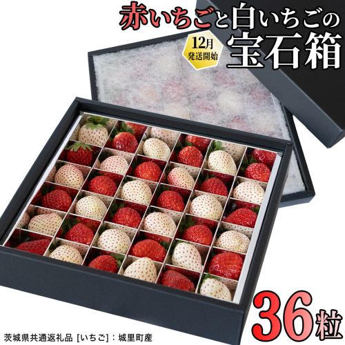 赤白いちごの宝石箱アソート 36粒 【2026年12月から発送開始】（茨城県共通返礼品 [いちご]：城里町産）  | いちご 苺 赤 イチゴ 白いちご 白イチゴ 宝石箱 [FC25-NT] 2454403 - 茨城県つくばみらい市
