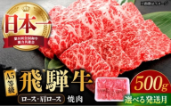[1月発送]飛騨牛 焼肉用 ロース・肩ロース 500g A5等級 牛 肉 和牛 牛肉 飛騨牛 高級肉 冷凍 国産 国産牛肉 ブランド牛 焼肉 焼き肉 やきにく 焼肉用 赤身 ロース ろーす 肩ロース カタロース 多治見市 / 渡辺精肉店 [TAZ030-1]