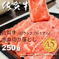 佐賀牛（プレミアム）赤身切り落とし 250g：B100-069