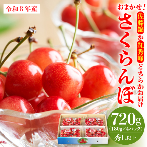 【令和8年産】おまかせさくらんぼ「佐藤錦or紅秀峰」秀Ｌ以上 720g （180gフードパック×4パック）【JAさがえ西村山】 ka008-111e 2454521 - 山形県河北町