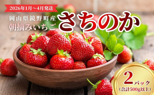 鏡野町産 朝摘みいちご「さちのか」2パック（合計500g）【2026年1月～4月発送】【029-a014】 2454620 - 岡山県鏡野町