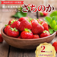 鏡野町産 朝摘みいちご「さちのか」2パック（合計500g）【2026年1月?4月発送】【029-a014】