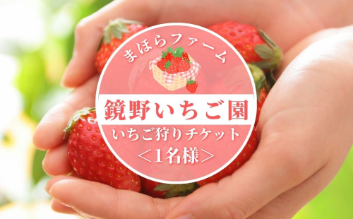 鏡野町まほらファーム いちご狩りご招待券（1名様）【2026年2月～5月】【029-a016】 2454622 - 岡山県鏡野町