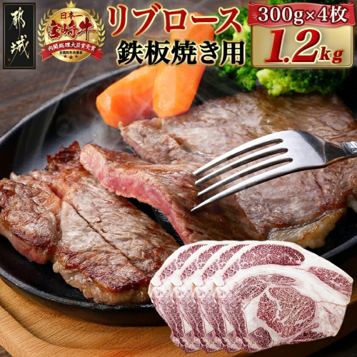 宮崎牛リブロース鉄板焼き用 (300g×4枚)_AE-N403 2454885 - 宮崎県都城市