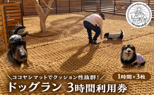 MARUMARUDOGS ドックラン 3時間利用券 1時間×3枚セット 人1人＋犬1頭 チケット 犬 ペット 体験 施設 施設利用券 ラン コイヤーグラウンド 天然素材 静岡県 河津町 2454901 - 静岡県河津町