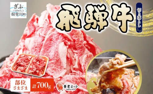 飛騨牛 切り落とし 計700g 350g×2パック 和牛 黒毛和牛 国産 国産牛 肉 牛肉 普段使い 炒め物 牛丼 冷凍 小分け 便利 手軽 グルメ カレー ビーフシチュー 煮物 肉じゃが 送料無料 養老ミート 岐阜県 揖斐川町 2454919 - 岐阜県揖斐川町