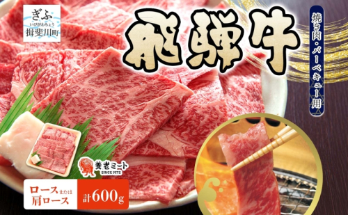 飛騨牛 ロース 肩ロース 焼肉 BBQ用 計600g 霜降り サシ 和牛 黒毛和牛 国産 国産牛 肉 牛肉 赤身 高級肉 グルメ バーベキュー お取り寄せ 送料無料 冷凍 養老ミート 岐阜県 揖斐川町 2454922 - 岐阜県揖斐川町