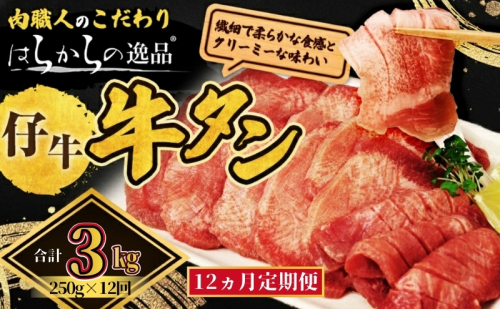 【12ヵ月連続定期便】柔らかい仔牛肉を仕込みました！ 牛タン はらからの逸品 厳選仔牛たん 3kg 250g×12回  職人仕込み 秘伝の塩味 牛たん 厚切り 小分け 厚切 焼肉 スライス 牛 牛肉 肉 お肉 ぎゅうたん おつまみ バーベキュー BBQ 【レビューキャンペーン対象】 2454945 - 宮城県亘理町