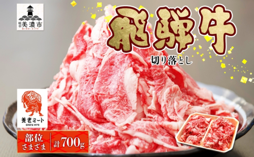 飛騨牛 切り落とし 350g×2P 国産 国産牛 牛肉 肉 牛 日本産 和牛 BBQ 焼き肉 赤身 小分け 便利 冷凍保存 一人暮らし 牛丼 肉じゃが 煮物 焼く 簡単調理 薄切り 飛騨牛切り落とし カレー ビーフシチュー 贈答品 お取り寄せ 送料無料 岐阜県 美濃市 2454955 - 岐阜県美濃市