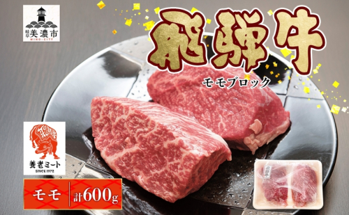 飛騨牛 モモブロック 300g×2P モモ肉 もも肉 ブロック ブロック肉 ももブロック 肉 牛肉 牛 ビーフ 和牛 和牛ステーキ 国産 国産肉 日本産 ローストビーフ ステーキ 冷凍保存 ご当地 お取り寄せグルメ 送料無料 岐阜県美濃市 2454960 - 岐阜県美濃市