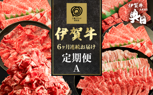 伊賀牛 6ヶ月連続お届け 定期便 A [ 伊賀牛牛トロ刺し すき焼きセット 伊賀牛ステーキセット 伊賀牛切り落とし 焼肉セット5人盛り ] オクダ 牛肉 高級 和牛 肉 伊賀牛肉  伊賀 人気 自宅用 グルメ お取り寄せ 誕生日 お祝い  贅沢 三重 2454990 - 三重県名張市