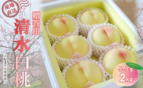 【桃 2026年 先行予約】贈答用 清水白桃 約2kg(5～7玉) もも モモ 岡山県 国産 フルーツ 果物 2455021 - 岡山県里庄町