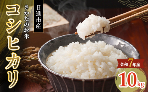 令和7年度産 コシヒカリ さかたのお米 日進市産 10kg お米 白米 ライス 精米 ご飯 おにぎり お弁当 和食 もっちり 粘り 強い 甘み 旨み 2455075 - 愛知県日進市