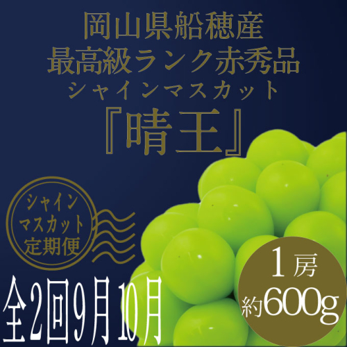 【定期便 全2回】ぶどう 2026年 先行予約 9月・10月発送 高級品 シャインマスカット 晴王 1房 約600g ブドウ 葡萄 岡山県産 国産 フルーツ 果物 ギフト 2455088 - 岡山県玉野市
