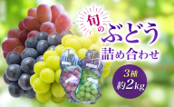 2026年産旬のぶどう詰め合わせ3種約２kg　果物 ぶどう 葡萄 マスカット フルーツ  種なし 詰め合わせ 長野県 駒ケ根市