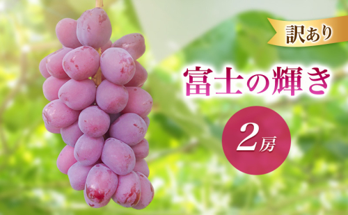 2026年産訳あり富士の輝き２房　 種なし 果物 ぶどう 葡萄 マスカット フルーツ  長野県 駒ケ根市 2455111 - 長野県駒ヶ根市