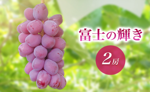 2026年産富士の輝き２房　 種なし 果物 ぶどう 葡萄 マスカット フルーツ 長野県 駒ケ根市 2455112 - 長野県駒ヶ根市