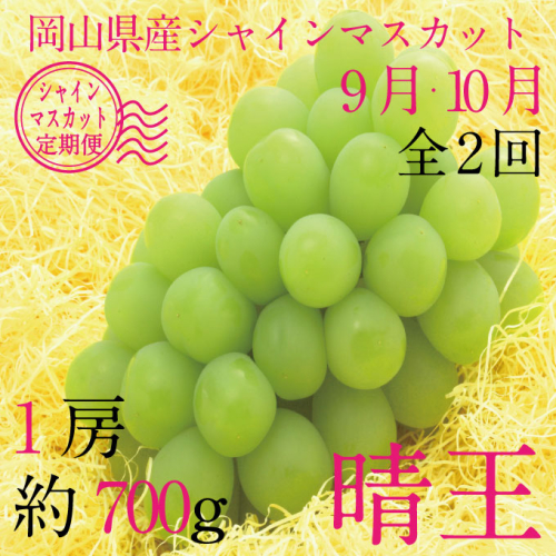【定期便 全2回】 ぶどう 2026年 先行予約 9月・10月発送 シャインマスカット 晴王 1房 約700g ブドウ 葡萄 岡山県産 国産 フルーツ 果物 ギフト 2455132 - 岡山県瀬戸内市