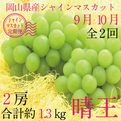 【定期便 全2回】 ぶどう 2026年 先行予約 9月・10月発送 シャインマスカット 晴王 2房 合計約1.3kg ブドウ 葡萄 岡山県産 国産 フルーツ 果物 ギフト 2455134 - 岡山県瀬戸内市