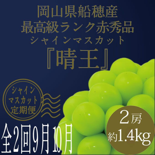 【定期便 全2回】 ぶどう 2026年 先行予約 9月・10月発送 高級品 シャインマスカット 晴王 2房 合計約1.4kg ブドウ 葡萄 岡山県産 国産 フルーツ 果物 ギフト 2455138 - 岡山県瀬戸内市