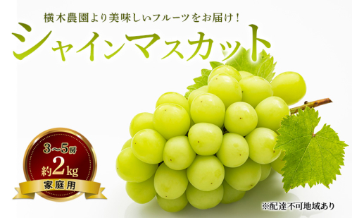 ぶどう 2026年 先行予約 シャイン マスカット 3～5房 約2kg 家庭用 ブドウ 葡萄  岡山県産 国産 フルーツ 果物 横木農園 ジューシー 種無し 2455139 - 岡山県瀬戸内市