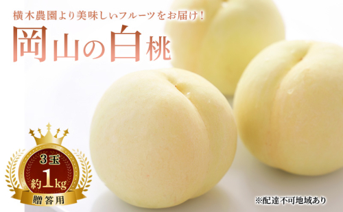 桃 2026年 先行予約 岡山の白桃 3玉 約1kg 贈答用 もも モモ 白桃 岡山白桃 岡山県産 国産 フルーツ 果物 ギフト 贈り物 横木農園 スイーツ 2455140 - 岡山県瀬戸内市