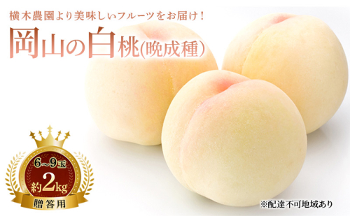 桃 2026年 先行予約 岡山の白桃 （晩成種）6～9玉 約2kg 贈答用 もも モモ 白桃 岡山白桃 岡山県産 国産 フルーツ 果物 ギフト 贈り物 横木農園 スイーツ 2455141 - 岡山県瀬戸内市