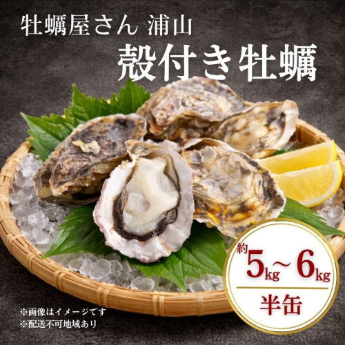 殻付き牡蠣 約5～6kg前後 半缶 【数量限定】2026年先行予約 加熱用 2455145 - 岡山県瀬戸内市