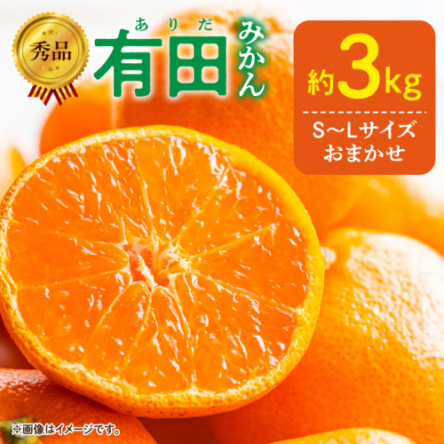 DZ6009n_01_【2027年1月発送】秀品 有田みかん 和歌山県産 S～Lサイズ 大きさお任せ 約3kg 2455158 - 和歌山県湯浅町