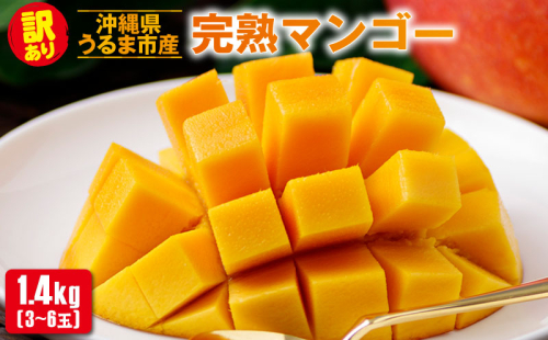 沖縄県 うるま市産 完熟 マンゴー 訳あり品 1.4kg【2026年発送】 2455174 - 沖縄県うるま市