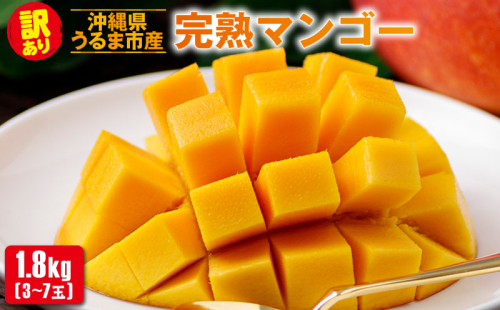 沖縄県 うるま市産 完熟 マンゴー 訳あり品  1.8kg【2026年発送】 2455175 - 沖縄県うるま市