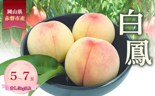 桃 2026年 数量限定 白鳳 5-7玉 計1.5kg以上 岡山県 赤磐市産 2455203 - 岡山県赤磐市