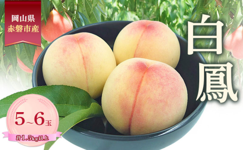 桃 2026年 数量限定 白鳳 糖度12度以上 5-6玉 計1.5kg以上 岡山県 赤磐市産 2455206 - 岡山県赤磐市