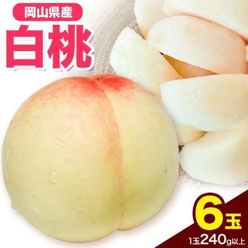 先行受付 岡山県産 白桃 1玉 240g以上 6玉入り ロイヤル 《7月中旬-8月下旬頃出荷》 【配送不可地域あり】
 2455230 - 岡山県笠岡市