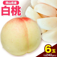 先行受付 岡山県産 白桃 1玉 240g以上 6玉入り ロイヤル 《7月中旬-8月下旬頃出荷》 【配送不可地域あり】