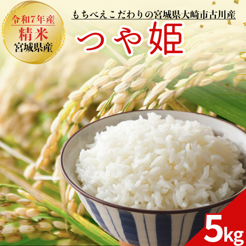 令和7年産 新米 大崎市古川産つや姫 5kg｜精米 お米 白米 こめ コメ ご飯 ごはん 大崎市産 宮城県産 ブランド米 送料無料 2455241 - 宮城県大崎市