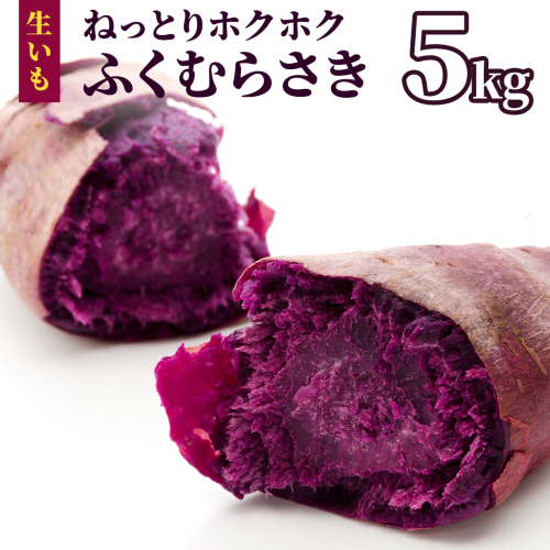 さつまいも 【 ふくむらさき 】 5kg ( 箱込 ) サツマイモ さつま芋 芋 いも 野菜 焼き芋 スイーツ おやつ 国産 2455242 - 茨城県牛久市
