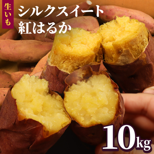 さつまいも 【 シルクスイート ・ 紅はるか 】 5kg ( 箱込 )の 2箱セット さつまいも 詰合せ 国産 農園 野菜 サツマイモ 芋 期間限定 デザート スイーツ おやつ 料理 味噌汁 煮物 生芋 2455249 - 茨城県牛久市