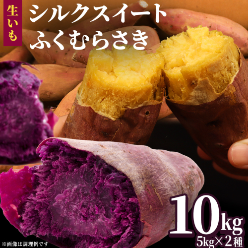 さつまいも 【 シルクスイート ・ ふくむらさき 】 5kg ( 箱込 )の 2箱セット さつまいも 詰合せ 国産 農園 野菜 サツマイモ 芋 期間限定 デザート スイーツ おやつ 料理 味噌汁 煮物 生芋
 2455252 - 茨城県牛久市