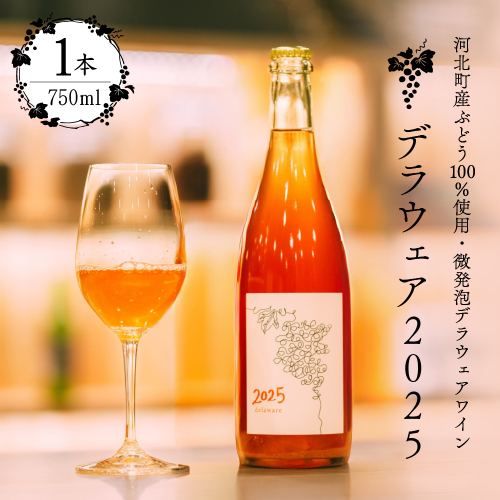 【河北町産ぶどう100％使用・微発泡デラウェアワイン】Delaware 2025（750ml×1本）【かほくらし社】 ワイン デラウェア 贈答 100％ ナチュラルワイン ka019-012j001-2025 2455256 - 山形県河北町