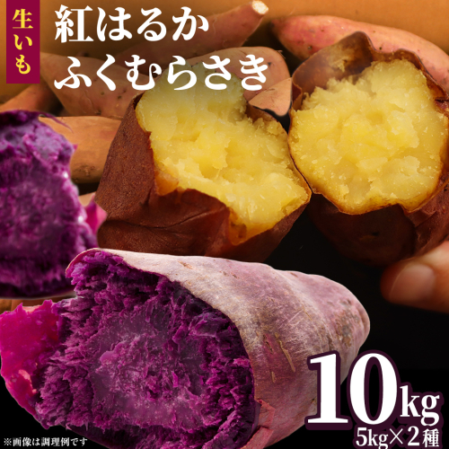 さつまいも 【 紅はるか ・ ふくむらさき 】 5kg ( 箱込 )の 2箱セット さつまいも 詰合せ 国産 農園 野菜 サツマイモ 芋 期間限定 デザート スイーツ おやつ 料理 味噌汁 煮物 生芋 2455261 - 茨城県牛久市