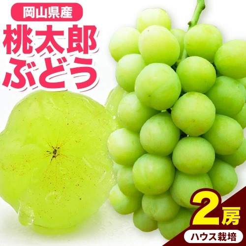 岡山県産桃太郎ぶどう 2房（480g以上）ハウス栽培 先行受付 《7月中旬-8月下旬頃出荷》【配送不可地域あり】
 2455270 - 岡山県笠岡市